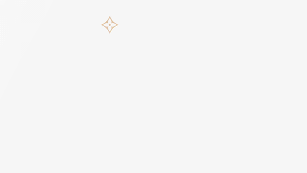 rodeo paris vuittonz